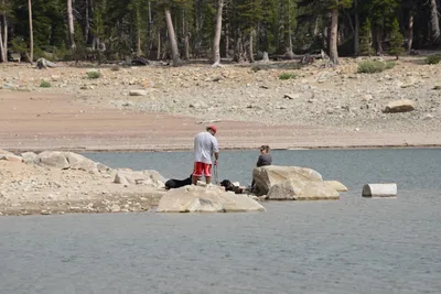 DSC_2980 (Large).JPG